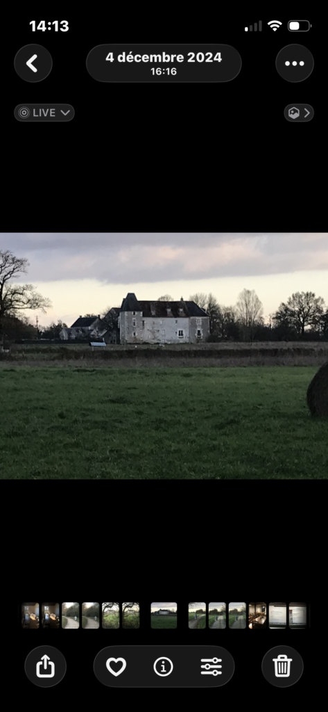 IMG 5408 1 473x1024